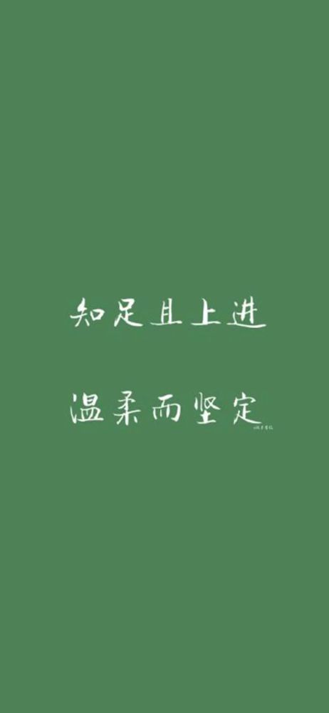 手机壁纸丨纯色背景文字壁纸锁屏