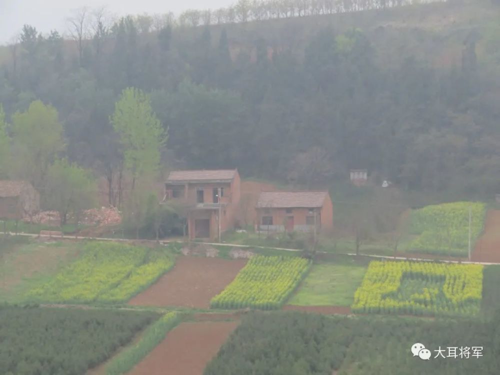 春游赏花咥美食,蓝田焦岱鲍旗寨