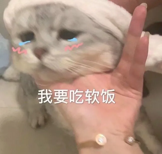 【表情包】流下不争气的眼泪