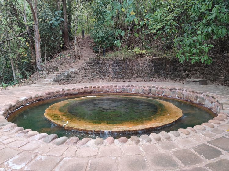 泡盐水温泉,尝地道美食,读傣家文化,去景谷熙康云舍一并体验_腾讯新闻