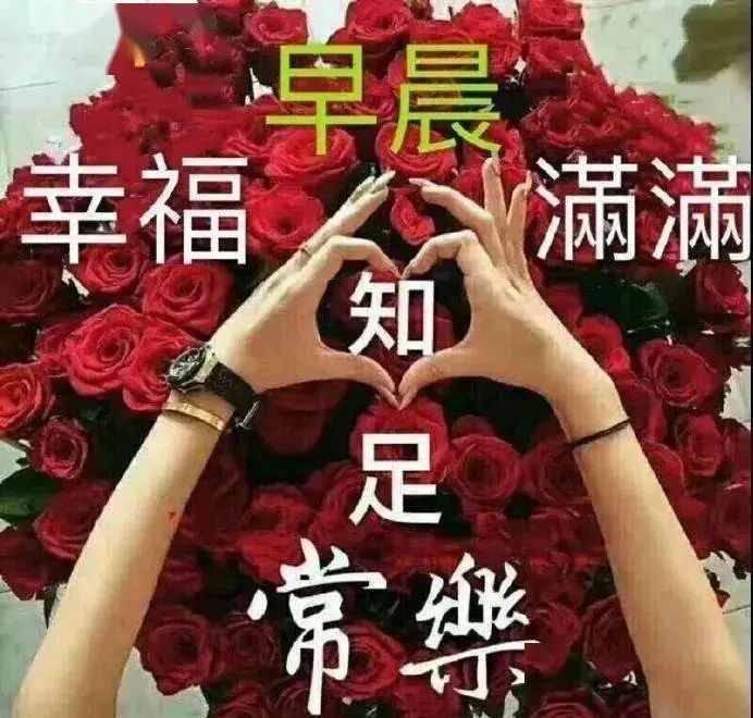 特漂亮的美女早安问候表情图