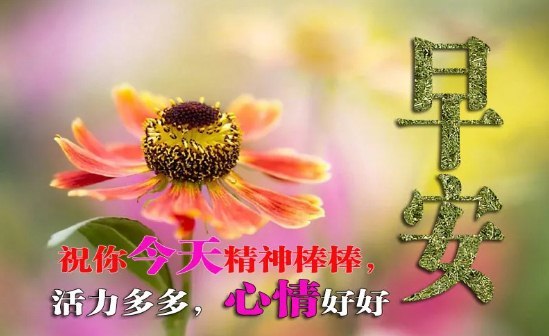 20句说到内心的经典早安句子,让调皮的你变成熟