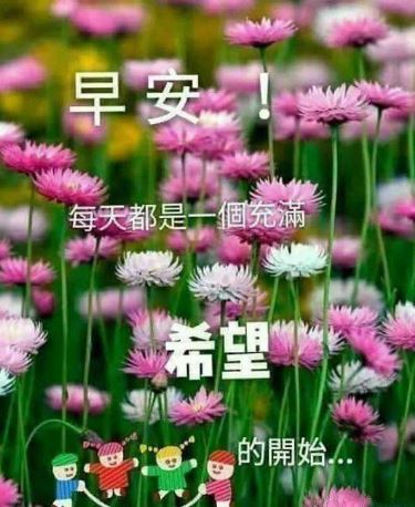 早安抖音祝福句子大全精选