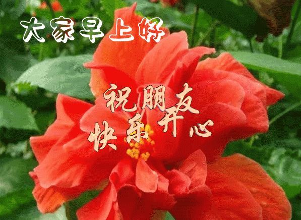 周末快乐早安问候语清晨最美早安祝福图片带字