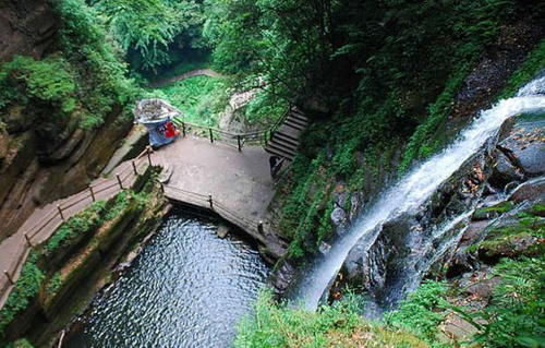 碧峰峡雅安雨城