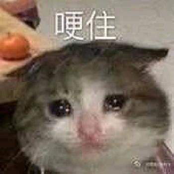 委屈表情包:钱不够花了
