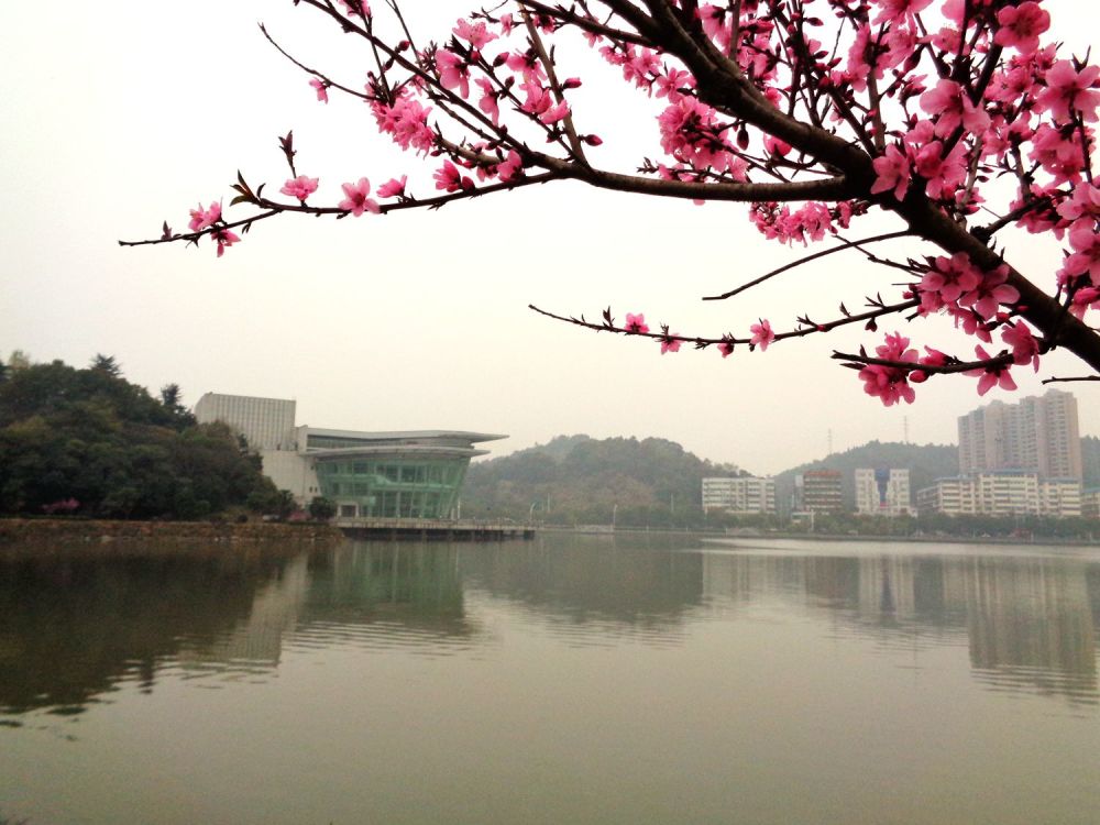 湖北师范大学位于黄石市,前身是创建于1973年的华中师范学院(现华中