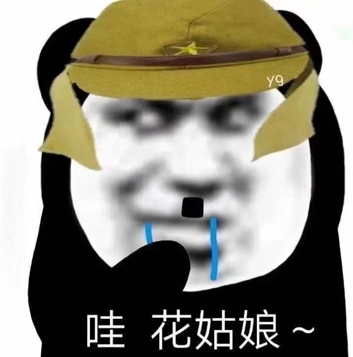 太君表情包尼滴明白