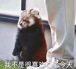 小动物表情包:被现实鸭垮