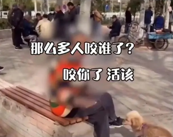 你也是畜生宠物狗险些咬人遛狗老太不道歉反而破口大骂