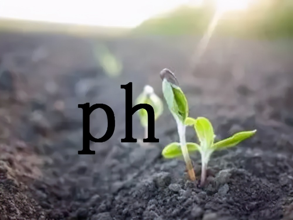 土壤ph就是指土壤的酸碱度.