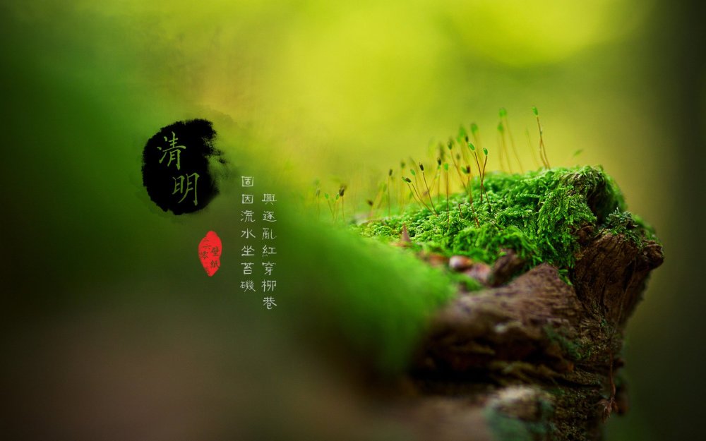 关于清明节的祝福语,2021年最新清明节短信