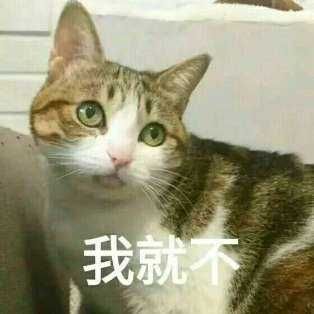 撒娇卖萌表情包