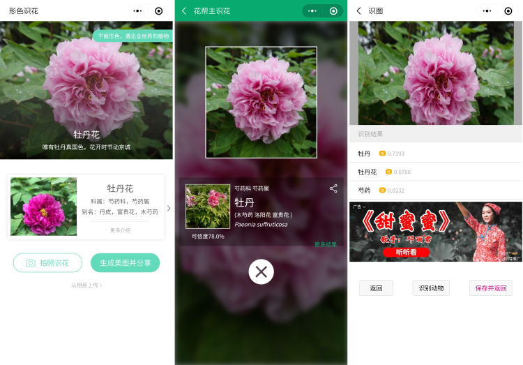 实测有用!3款"识花小程序,让你再也不愁认错花