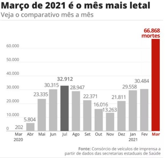 巴西人口2021总人口_巴西地形人口分布图(3)
