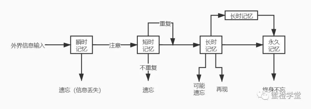 永久记忆:经过很多个长时记忆的周期,记忆的信