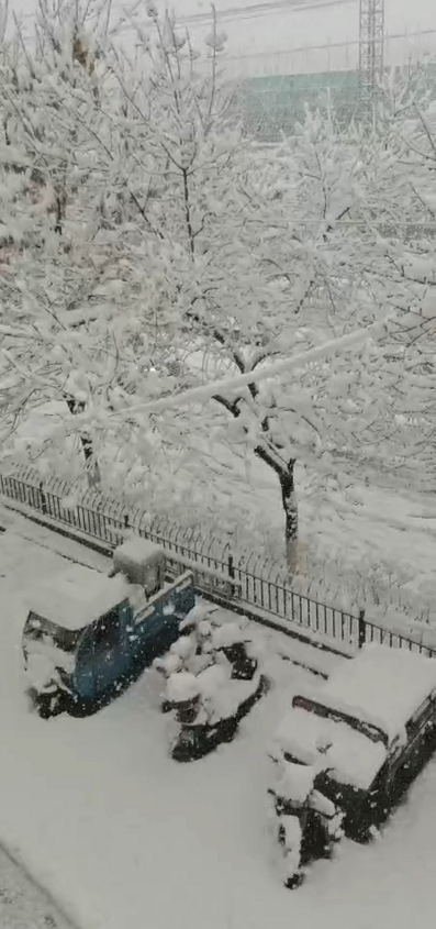 新疆拜城县60年不遇的大暴雪积雪深度已达369厘米降雪仍在持续