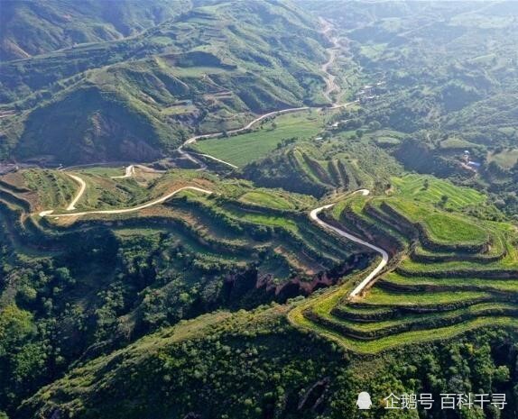 黄土高原变成了绿色高原