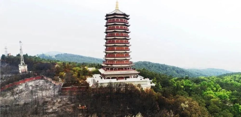 烧焦了的寥廓山,记住心疼的感觉!