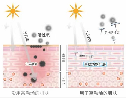 都在说皮肤要"抗氧化","抗氧化"抗的到底是什么?