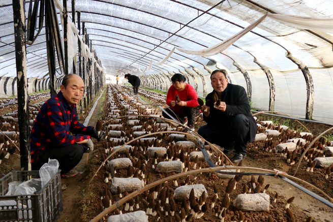鲁山人口_丝绸之路的源头是鲁山 历史给你答案