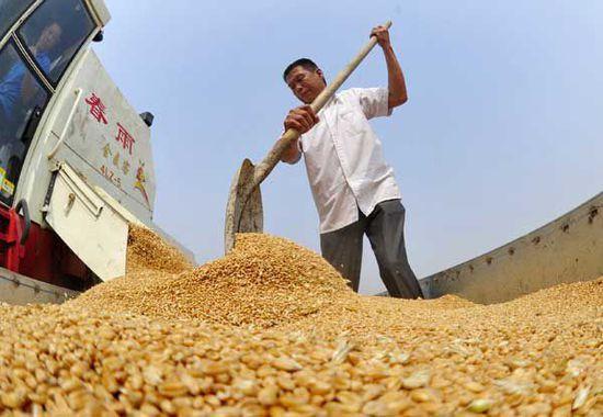 袁隆平使中国粮食产量翻翻,为何现在还要进口大米?原因很简单
