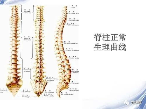 脊柱侧弯有多恐怖?赶紧来看看!吓得我立马坐直了