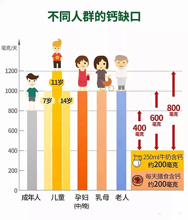 补钙大全不同年龄层补钙标准公布