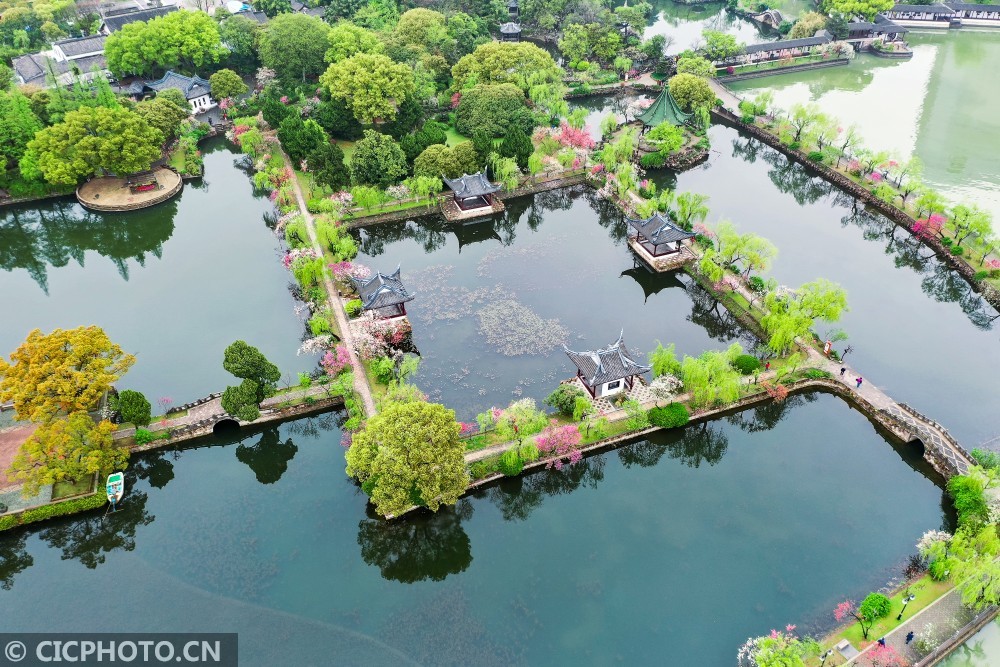 江苏无锡:桃花朵朵开 最美江南景