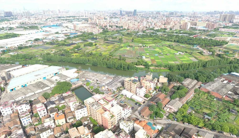 大沥雅瑶罗城旧村居改造 面积约310亩.