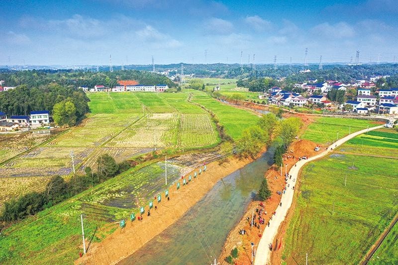 蕉溪镇以"万人植树造绿"行动为抓手,全面推进乡村生态振兴