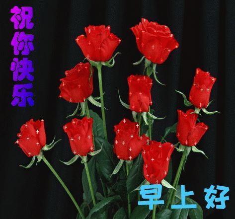 早上好清晨暖心的祝福短信问候带图片,送给亲