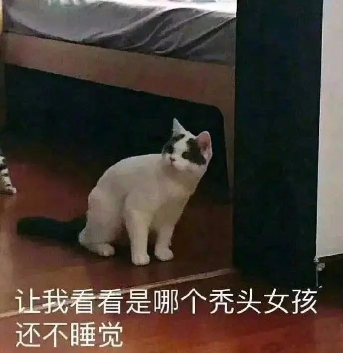 表情包|给你个台阶要不要下