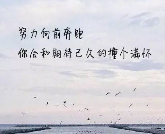 什么心什么忍的成语_成语故事手抄报(3)