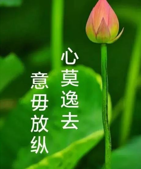 什么心什么忍的成语_成语故事简笔画(5)