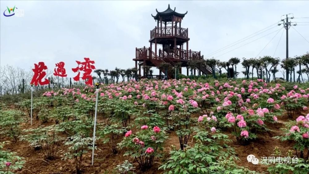 【建昌牡丹园什么时候开园,葫芦岛现在什么情况啊】