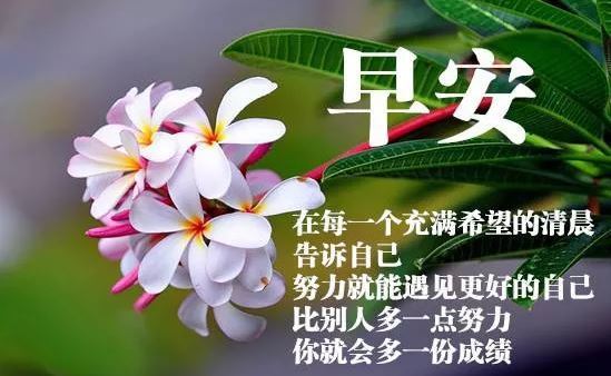 早晨好动态祝福唯美图片 清晨早上好问候语图片