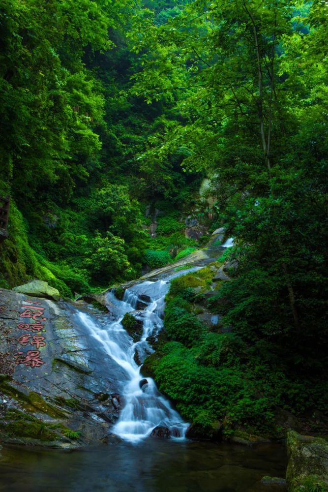 出发舜皇山!开启一场"醉氧"之旅