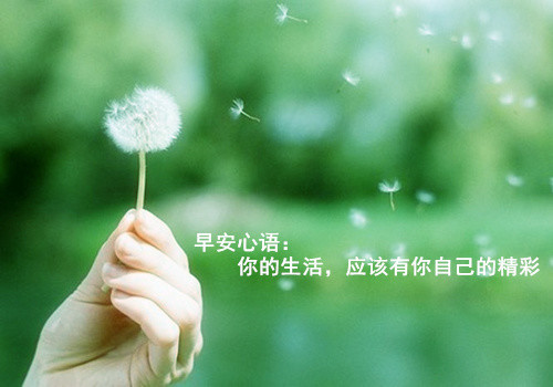 很经典的早上好阳光暖心语句,早上好图片带字