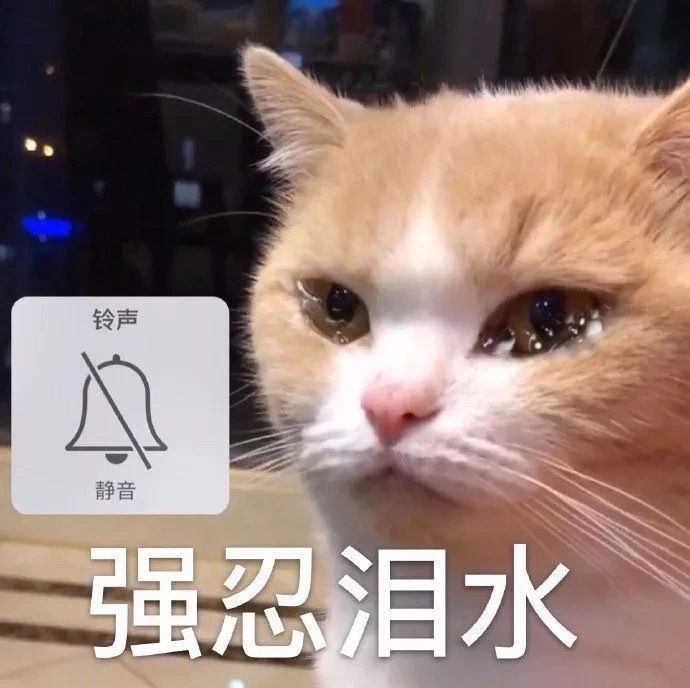 适合给女朋友发的可爱猫狗表情包