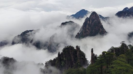 安徽黄山风景区:清明小长假未至 旅游市场提速升温