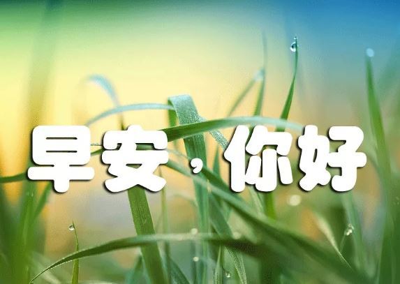 早上好漂亮早安图片带字:生活的真谛也不外乎