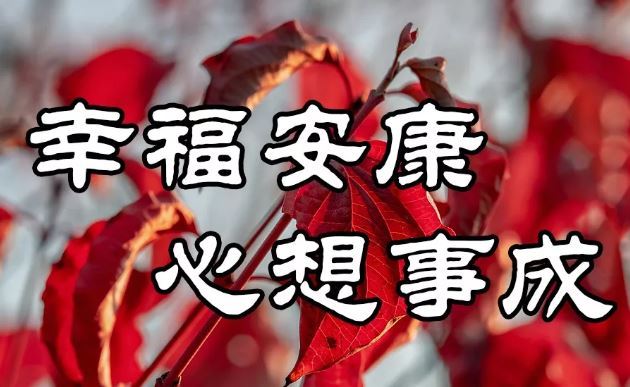 阳光早上好祝福图片带字请你相信你的坚持