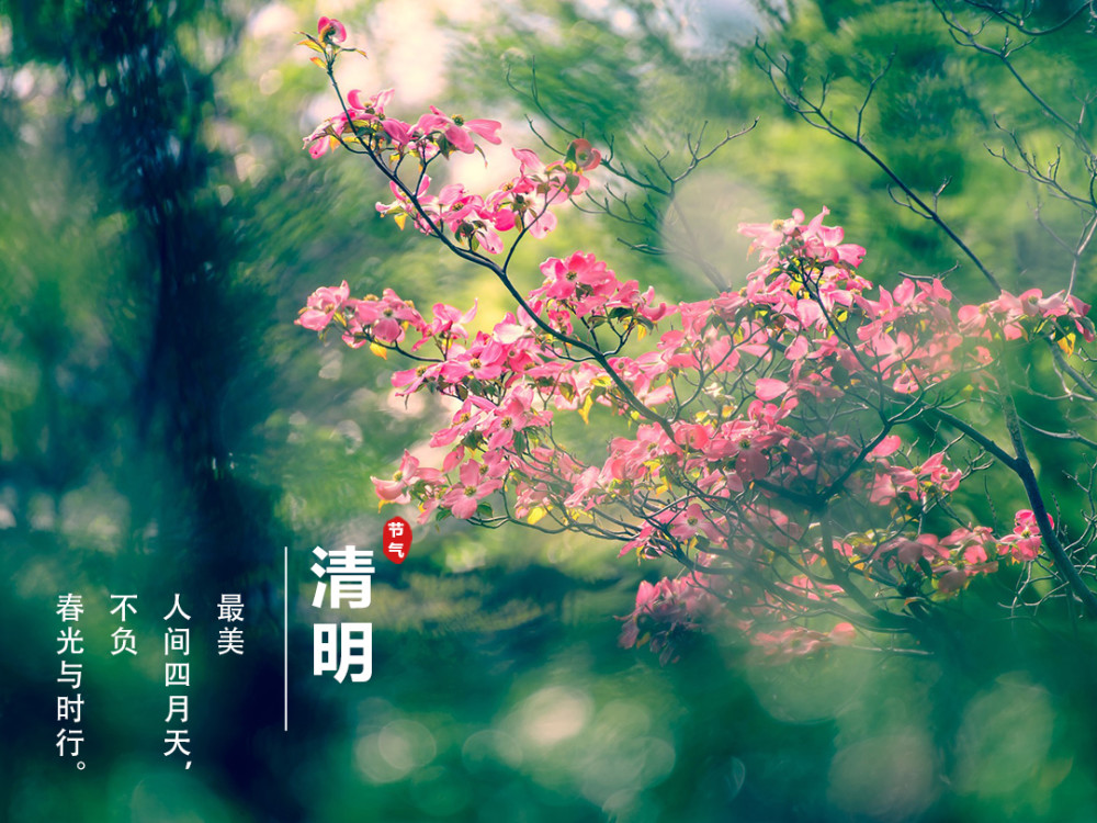 清明好时节行走山水间16,春暖清风明月恰遇人间芳菲17,仲春清明桃李笑
