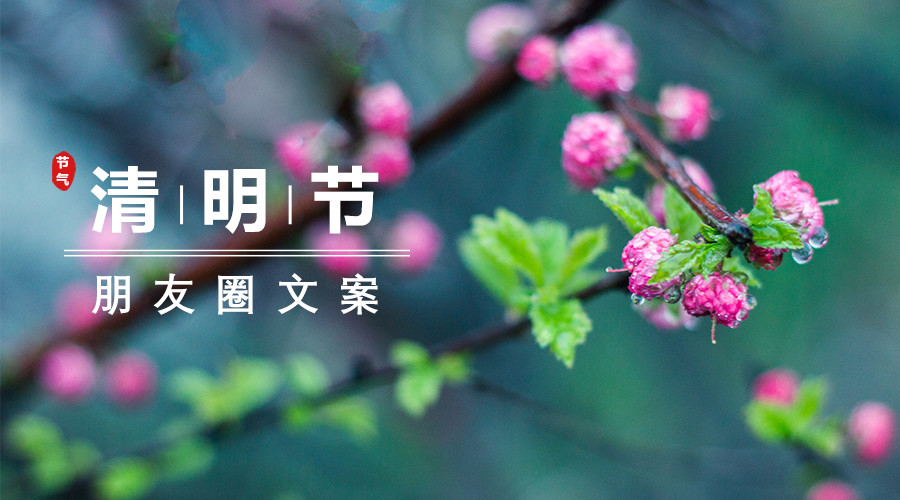 清明节适合发朋友圈的文案20条,句子优美也很走心!