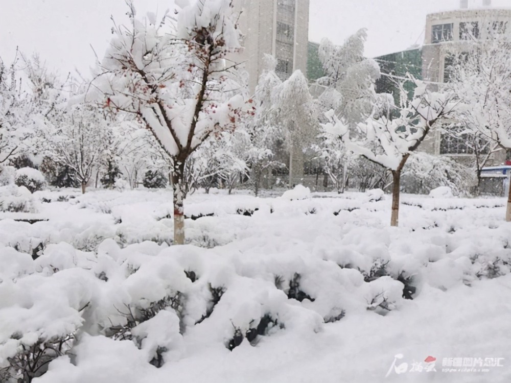 新疆拜城县迎来63年来最大降雪