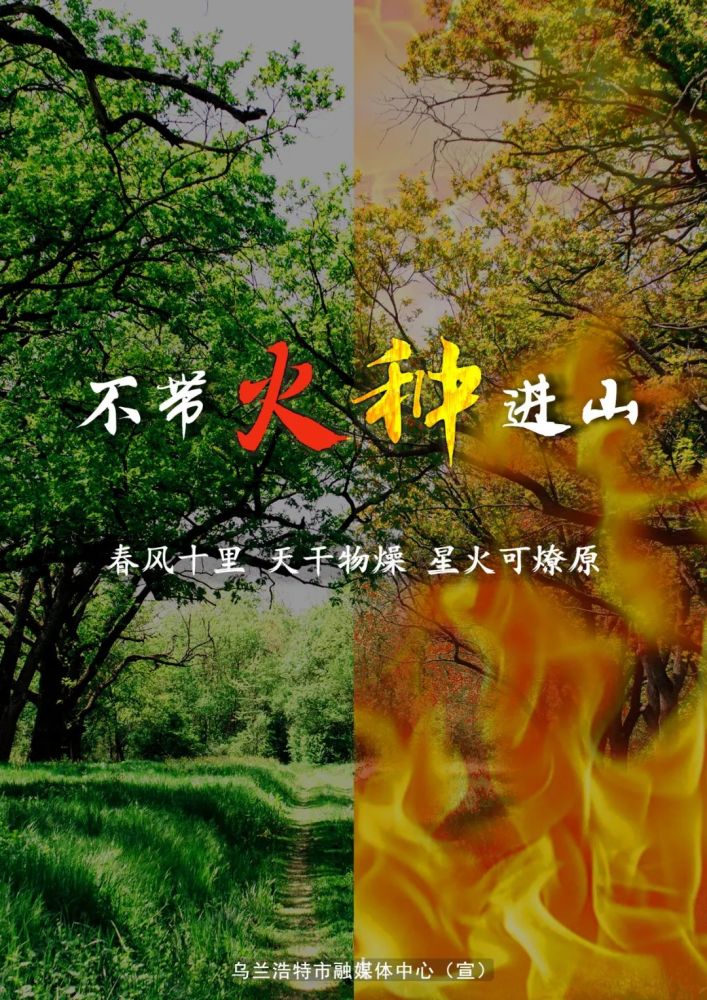 原创海报|预防林草火灾 守护绿色家园