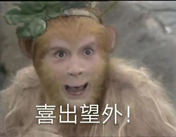 表情包:猴哥也是个行走的表情包