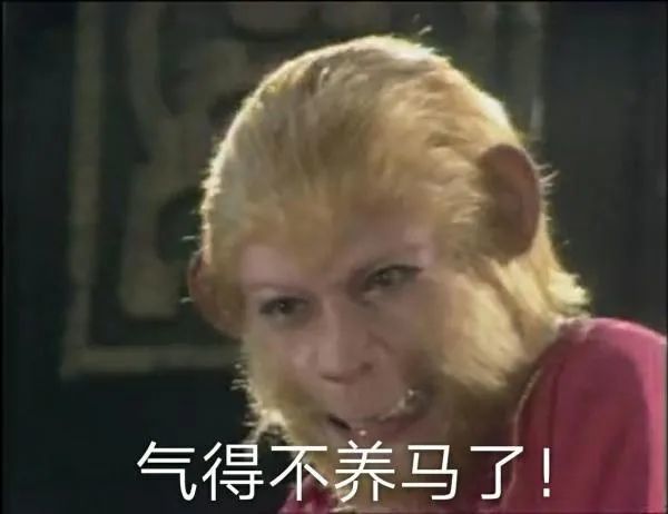 表情包:猴哥也是个行走的表情包