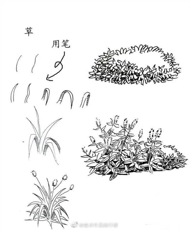 一步步教你画草木